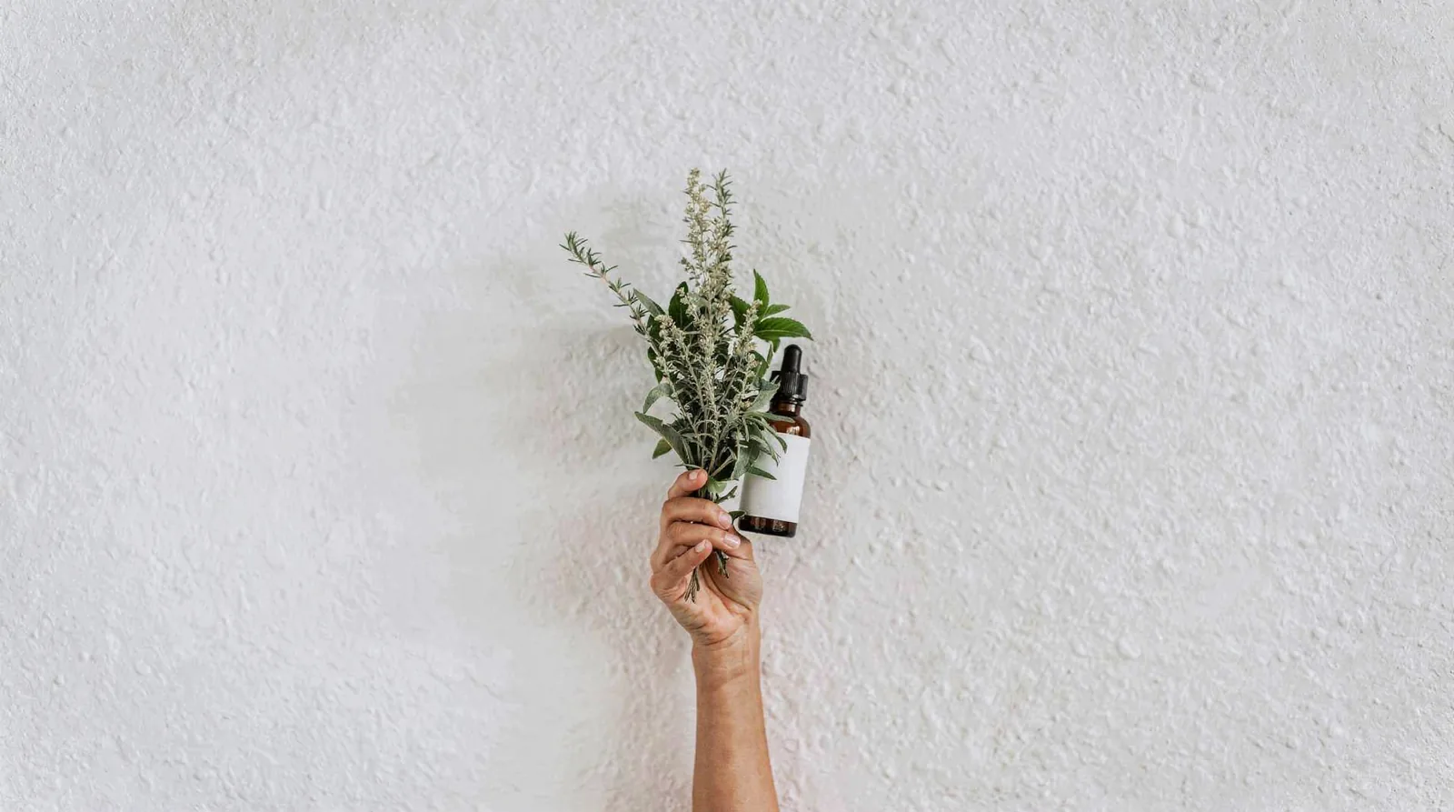 WellFit Studio, based in Boston, MA, offers acupuncture as part of its integrative approach