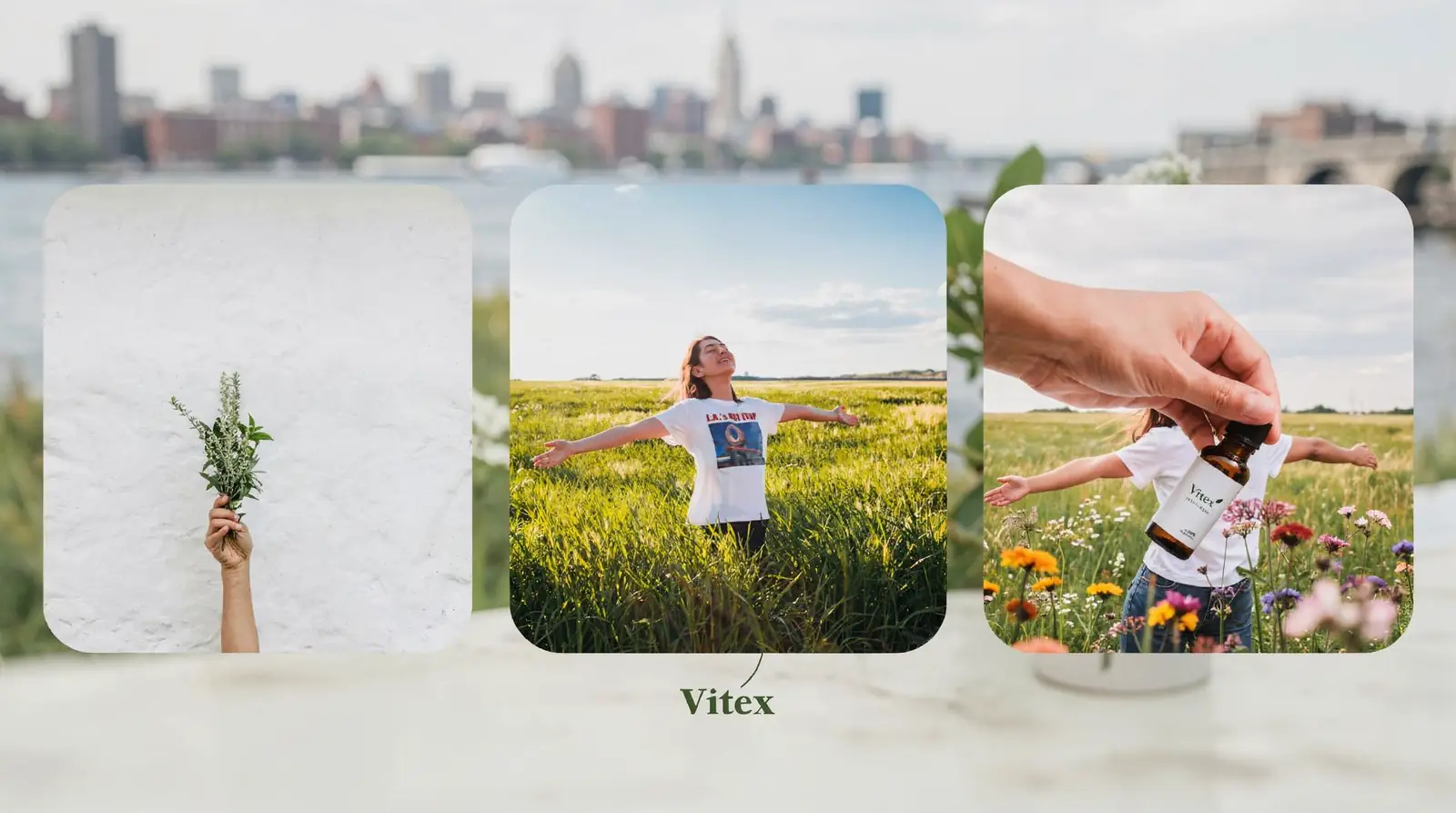 Vitex works by increasing LH, raising progesterone, and suppressing prolactin, which can increase ovulatory cycles
